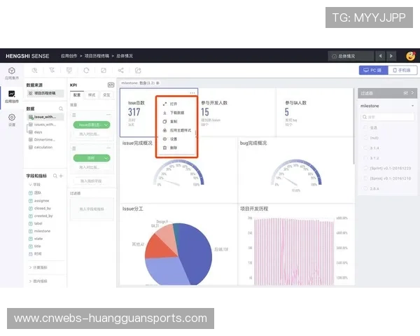运动员数据仪表盘开发，服务专业观众需求